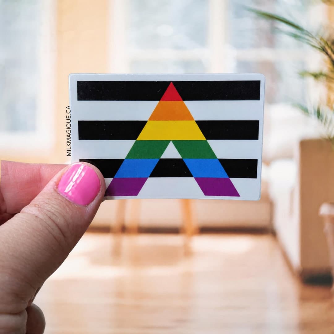 Pride Ally Flag